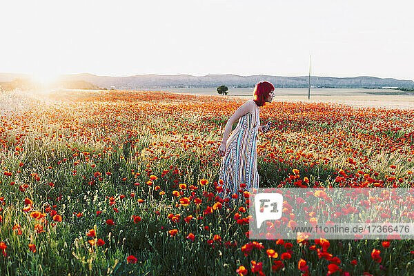 Frau geht inmitten von Mohnblumen auf einem Feld bei Sonnenuntergang