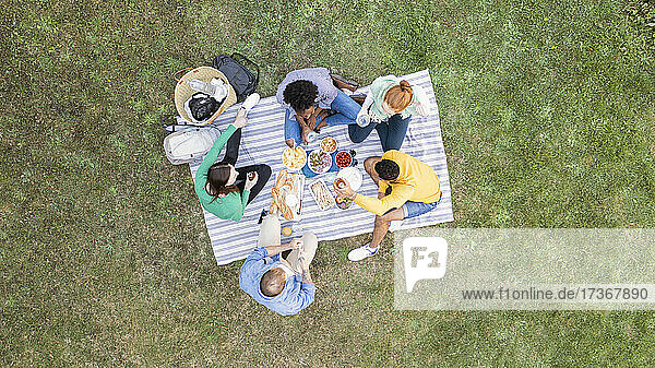 Glückliche junge Freunde machen ein Picknick im Garten