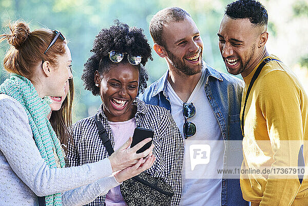 Fröhliche junge Freunde benutzen ihr Smartphone in einem öffentlichen Park