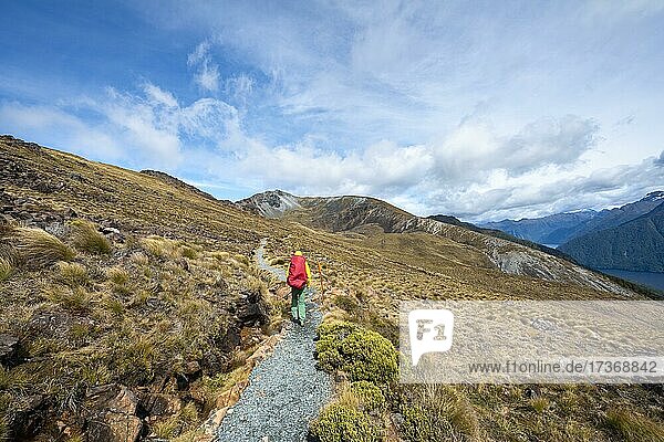 Hiking trail  Kepler Track  Great Walk  mountain landscape with grass  Kepler Mountains  Fiordland National Park  Southland  New Zealand  Oceania
