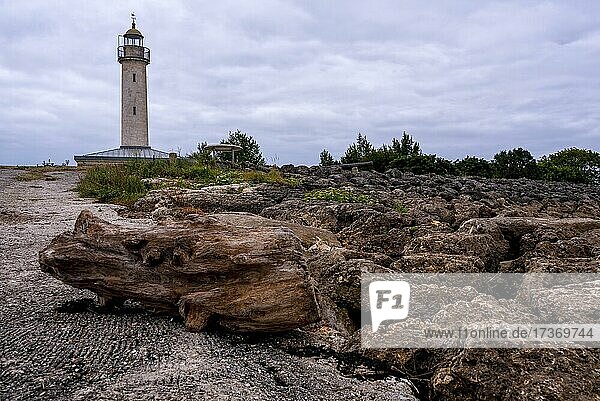 Phare de Richard  historic lighthouse  Gironde estuary  Jau-Dignac-et-Loirac  Gironde  Nouvelle-Aquitaine  France  Europe