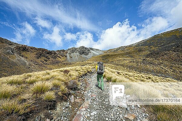 Wanderer auf Wanderweg  Kepler Track  Great Walk  hinten Mount Luxmore  Berglandschaft mit Gras  Kepler Mountains  Fiordland National Park  Southland  Neuseeland  Ozeanien