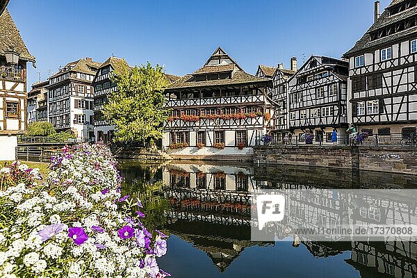 Fachwerkhäuser im Stadtviertel La Petite France  Fluss Ill  Straßburg  Elsass  Frankreich  Europa