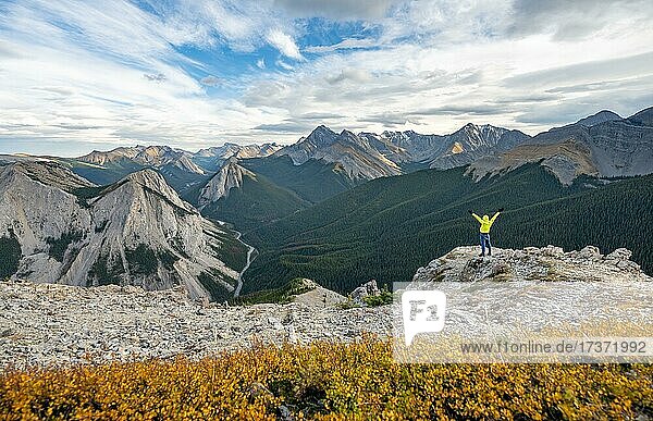 Herbstlich gelb verfärbter Busch  Wanderer streckt Arme in die Luft Berglandschaft mit Flusstal und Gipfeln  Gipfel mit orangene Sulphurablagerungen  Panoramablick  Nikassin Range  bei Miette Hotsprings  Sulphur Skyline  Jasper Nationalpark  Alberta  Kanada  Nordamerika