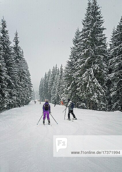 People skiing on the snowy slope of Bukovel ski resort in the Ukrainian Carpathian mountains. Snow falling scene  blizzard frosty weather in Ukraine