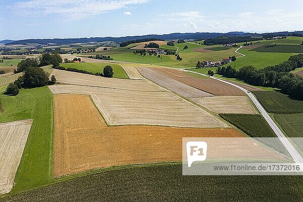 Drohnenaufnahme  Agrarlandschaft  Landwirtschaftliche Felder mit Bauernhöfe bei Waldzell im Innviertel  Oberösterreich  Österreich  Europa