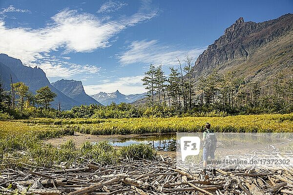 Hikers at a small pond on washed-up wood  in the background mountains Mahtotopa Mountain  Lille Chief Mountain  Fusillade Mountain and Goat Mountain  Glacier National Park  Rocky Mountains  Montana  USA  North America