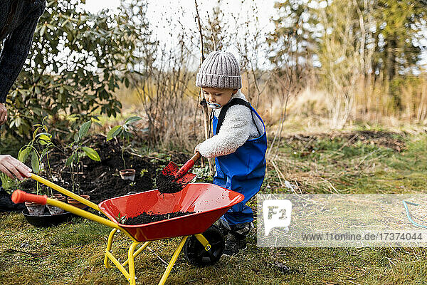 Full length of boy putting dirt with shovel in wheelbarrow at back yard
