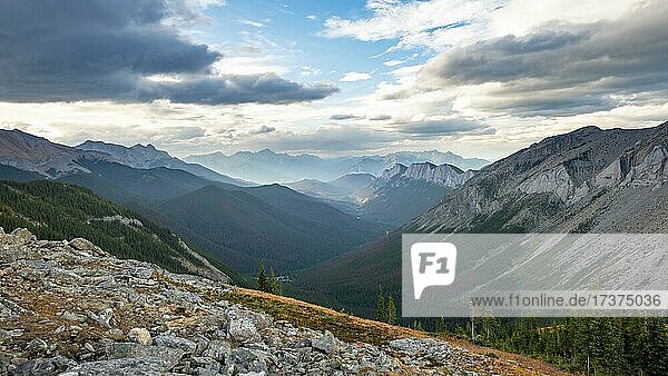 View into forested valley  mountain peak and Ashlar Ridge in the back  Sulphur Skyline Trail  Jasper National Park  Alberta  Canada  North America