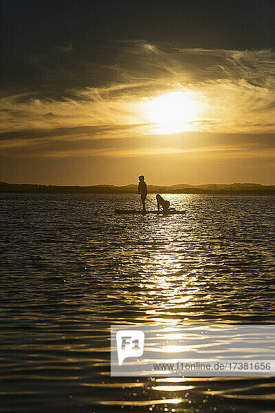 Mother and son paddle boarding on tranquil sunset ocean  Victoria  Australia