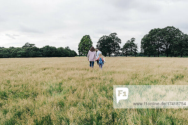 Family holding hands while walking on meadow