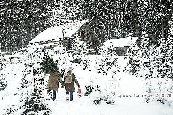 Man carrying tree while walking with woman on snow