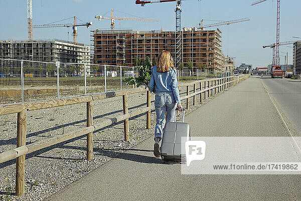 Woman with plant and wheeled luggage walking on road