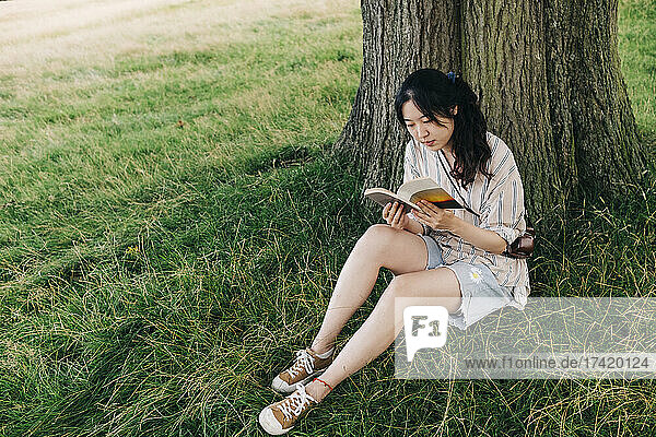 Young woman reading book while sitting under tree in park