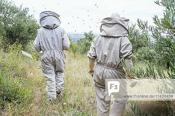 Male and female beekeepers walking through plants in farm