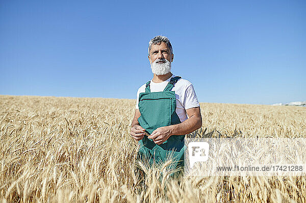 Mature male farmer standing amidst wheat crops during sunny day