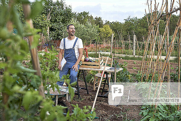 Cheerful male farm worker looking away while sitting on table at agricultural field