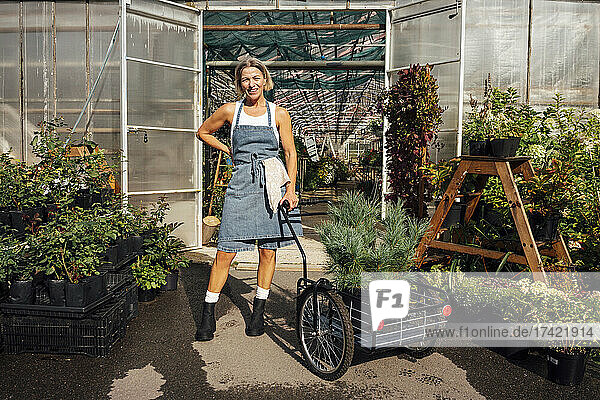 Mature female farmer with cart standing at greenhouse doorway
