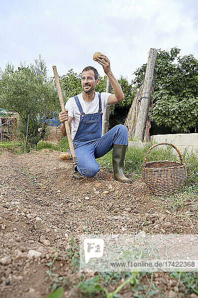 Smiling farm worker holding garden hoe and potato while working in agricultural field