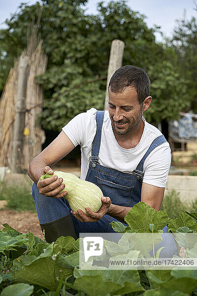 Smiling male farmer holding squash while crouching at agricultural field