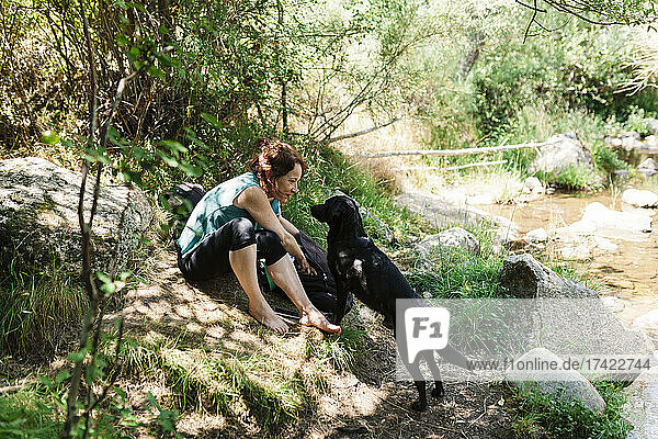 Mid adult woman and dog looking at each other in forest