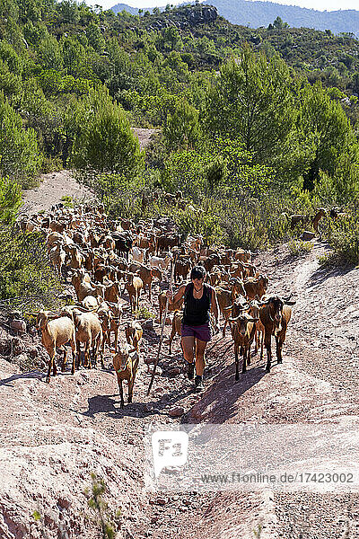 Female farmer with goats climbing on mountain during sunny day