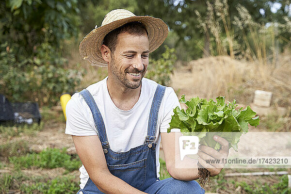 Smiling farmer in hat looking at fresh green lettuce