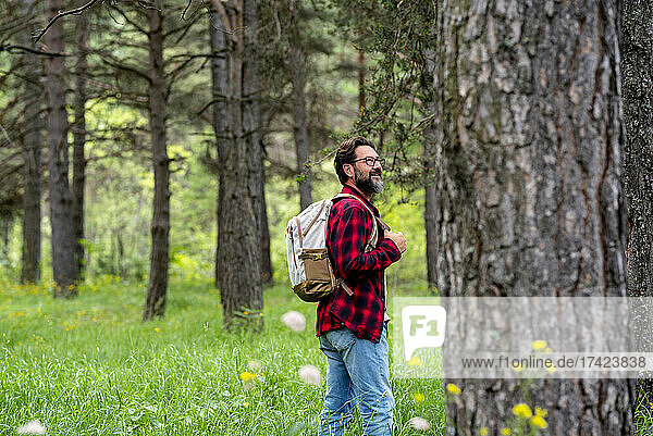 Lächelnder reifer Mann mit Rucksack spaziert durch grünen Wald