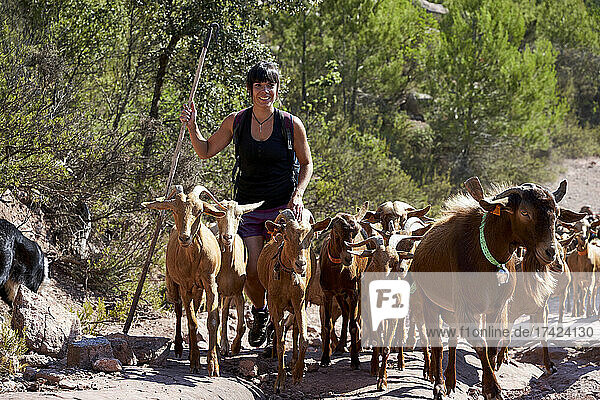 Smiling female shepherd hiking with goats on sunny day