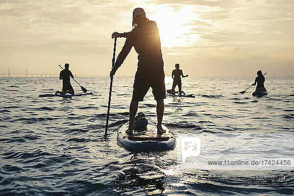 Male and female friends rowing paddleboard in sea during sunset