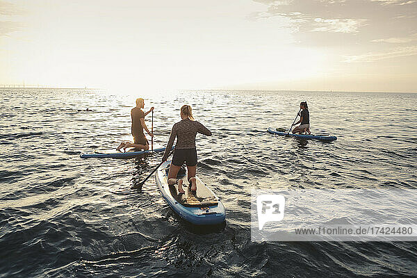 Weibliche und männliche Freunde rudern Paddleboard im Meer bei Sonnenuntergang