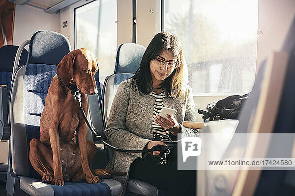 Junge Frau benutzt ihr Smartphone  während sie neben ihrem Hund im Zug sitzt