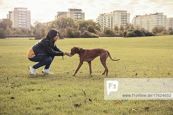 Smiling young woman feeding dog on grass in park
