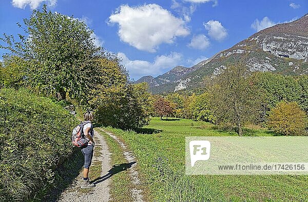 Hiker in the autumnal Ledro Valley  Ledro  Lake Garda West  Trentino  Italy  Europe