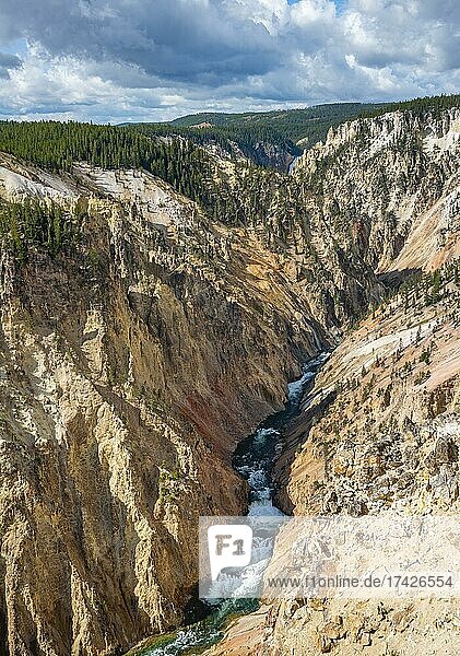 Fluss fliest durch Sulphur Canyon  Grand Canyon of the Yellowstone River  Ausblick vom North Rim  Red Rock Viewpoint  Yellowstone Nationalpark  Wyoming  USA  Nordamerika