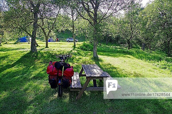 Fahrrad lehnt an einer Bank  Zelte und Bäume  isländischer Wald  Hallormstadur  Ostisland  Island  Europa