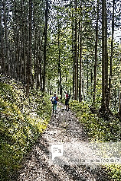 Two hikers on a forest path  Berchtesgaden Alps  Berchtesgadener Land  Upper Bavaria  Bavaria  Germany  Europe
