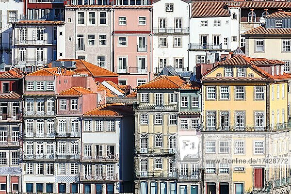 Porto Altstadt Gebäude Weltkulturerbe Reise reisen Stadt in Porto  Portugal  Europa