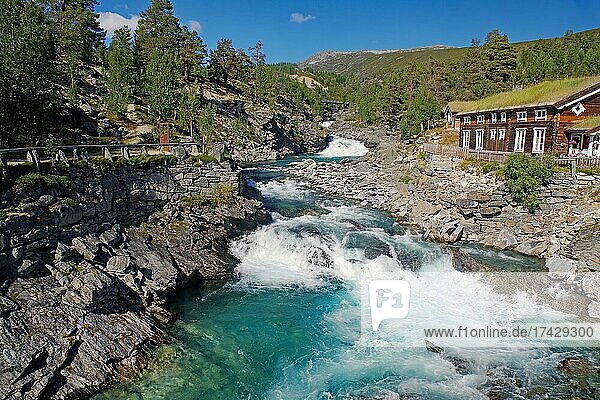 Stromschnellen  Wasserfall  Holzhaus mit Grasdach  Bllingen  Nationalpark Reinheimen  Norwegen  Europa