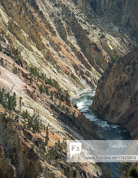 Fluss fliest durch Sulphur Canyon  Grand Canyon of the Yellowstone River  Ausblick vom North Rim  Red Rock Viewpoint  Yellowstone Nationalpark  Wyoming  USA  Nordamerika