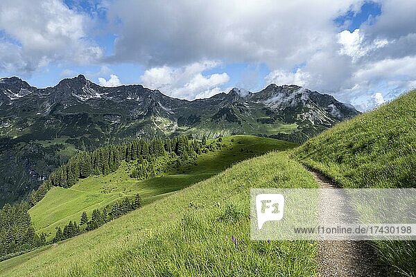 Einsamer Wanderweg  hinten Berge  Heilbronner Weg  Allgäuer Alpen  Oberstdorf  Bayern  Deutschland  Europa