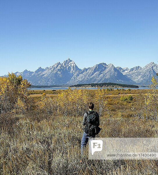 Young man looking into the distance  mountain panorama with Mount Moran and Grand Teton  autumn landscape  yellow Common aspens (Populus tremula) and bushes  Willow Flats Overlook  Teton Range  Grand Teton National Park  Wyoming  USA  North America