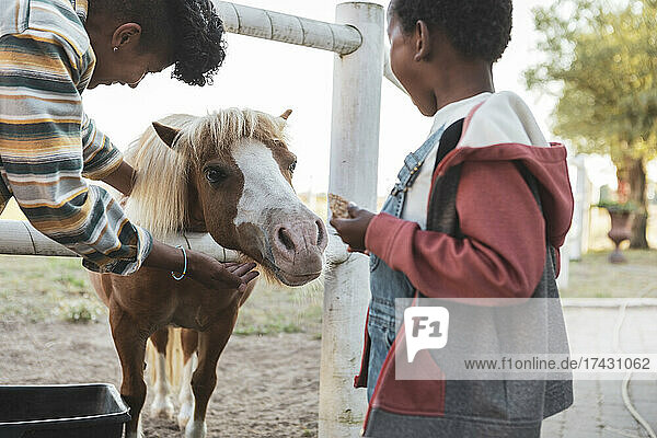 Mutter mit Sohn streichelt Pony auf dem Bauernhof