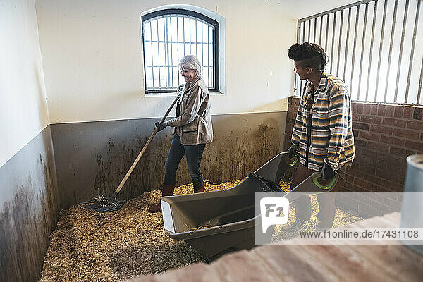 Female farm workers working in barn