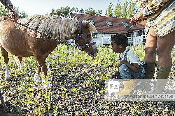 Junge hockt bei der Betrachtung eines Ponys mit Familie