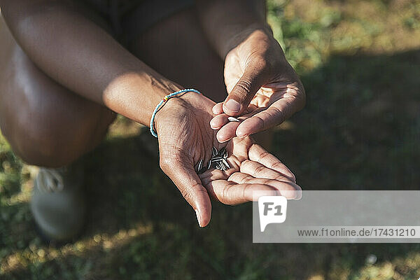 Ausgeschnittenes Bild von Händen mit Samen an einem sonnigen Tag