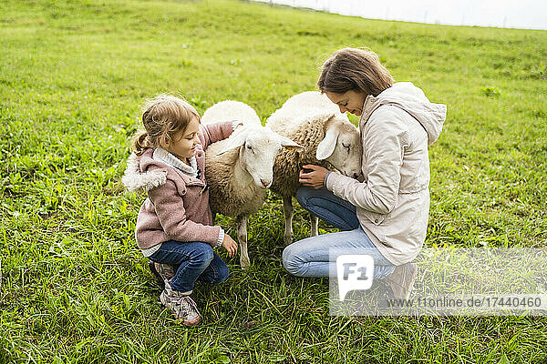 Lächelnde Mutter und Tochter streicheln Schafe auf dem Bauernhof