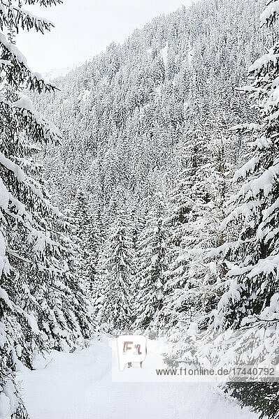 Mann und Frau gehen im Winter zwischen schneebedeckten Bäumen spazieren