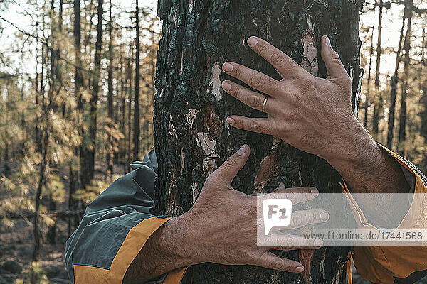 Mann umarmt Baum im Wald