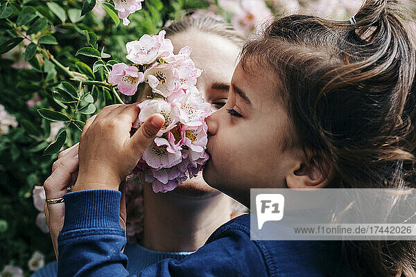 Daughter smelling pink flowers by mother at park